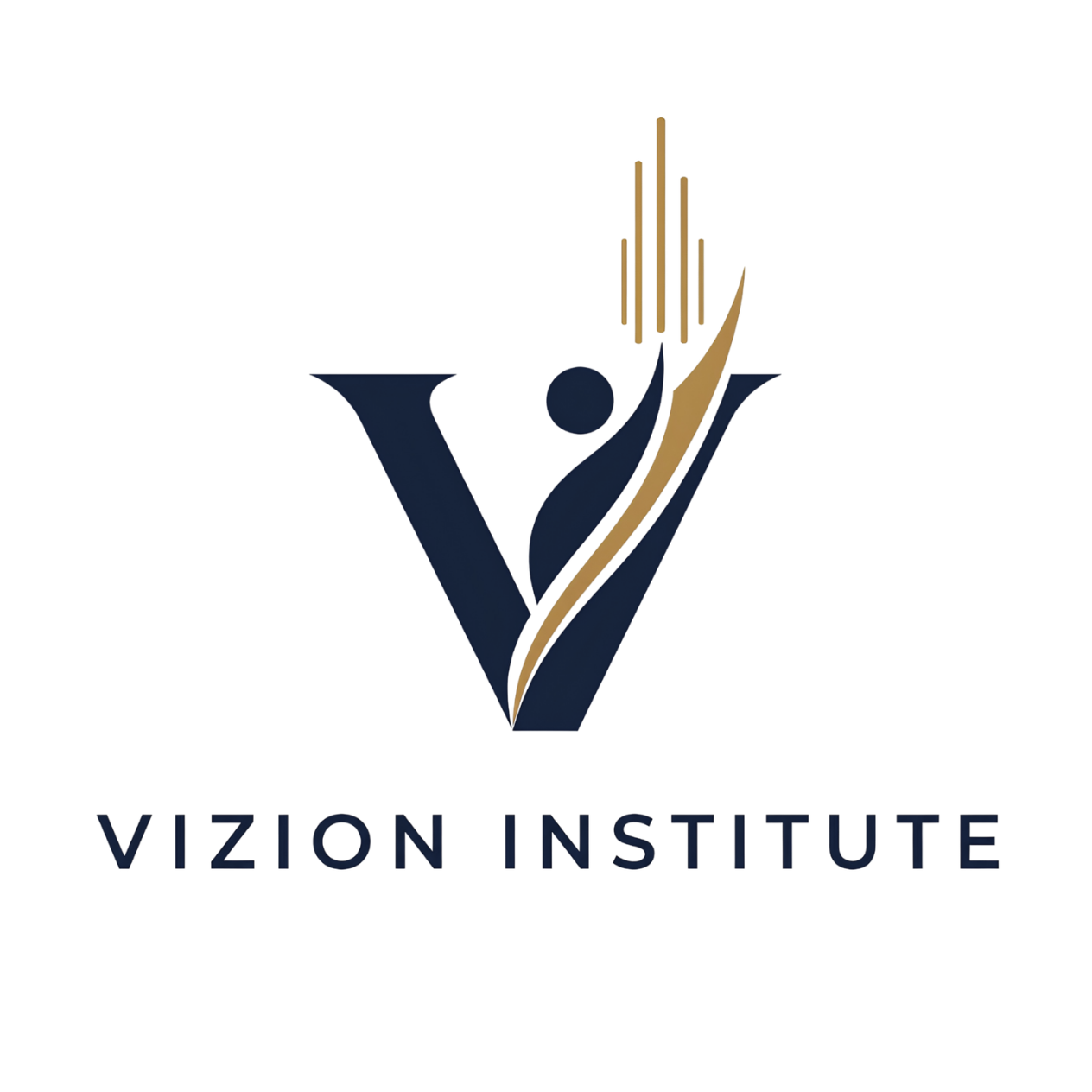 Vizion Institute
